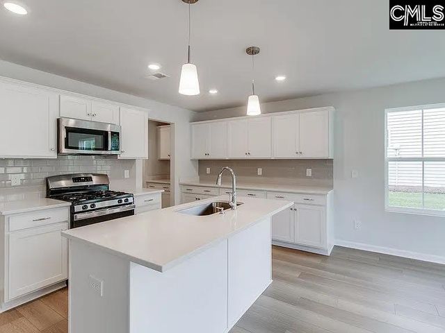 217 Flatsedge Court, Lexington, SC 29072