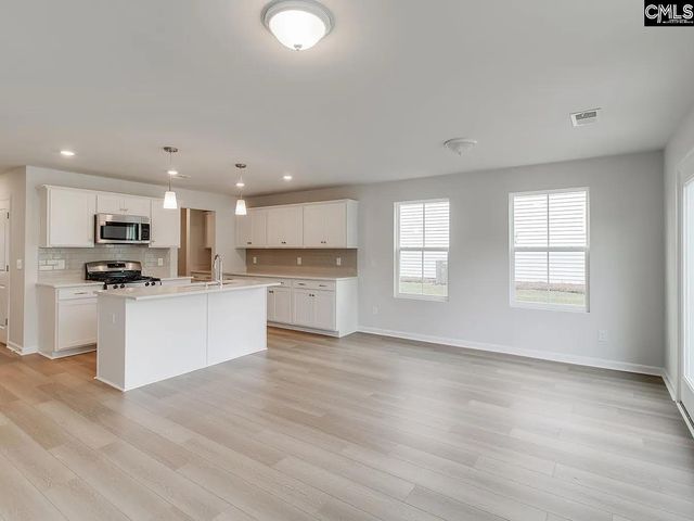 217 Flatsedge Court, Lexington, SC 29072