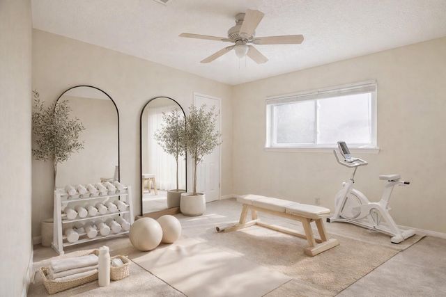 22831 Earlmist Drive, Spring, TX 77373