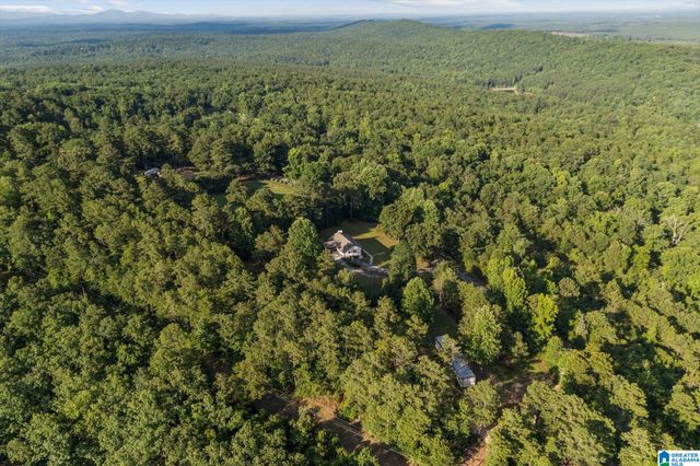 3141 HIGHWAY 331, Columbiana, AL 35051