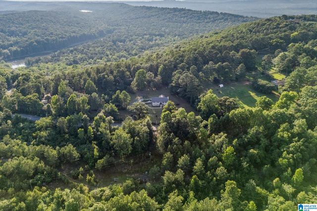 3141 HIGHWAY 331, Columbiana, AL 35051