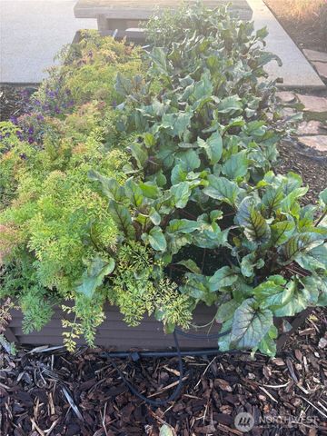 646 Summer Breeze Lane, Sequim, WA 98382