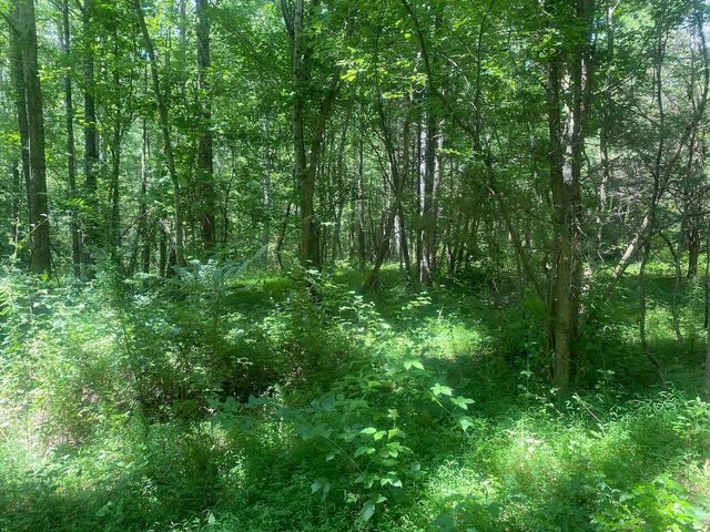 000 S Grider Road, Russell Springs, KY 42642