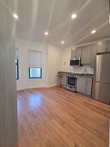 165 Hawthorne Broadway 204, Chelsea, MA 02150