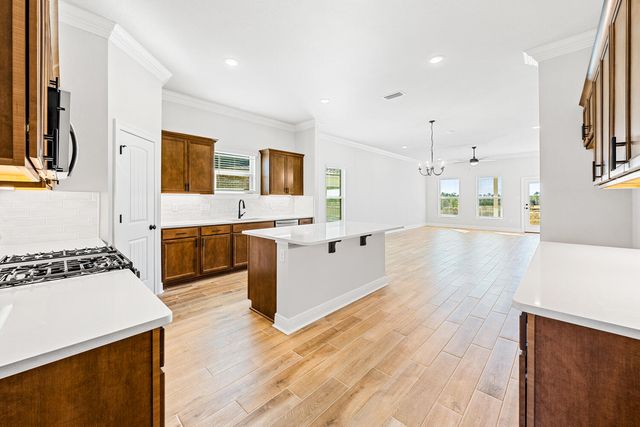 158 Bon Ami Drive, Freeport, FL 32439