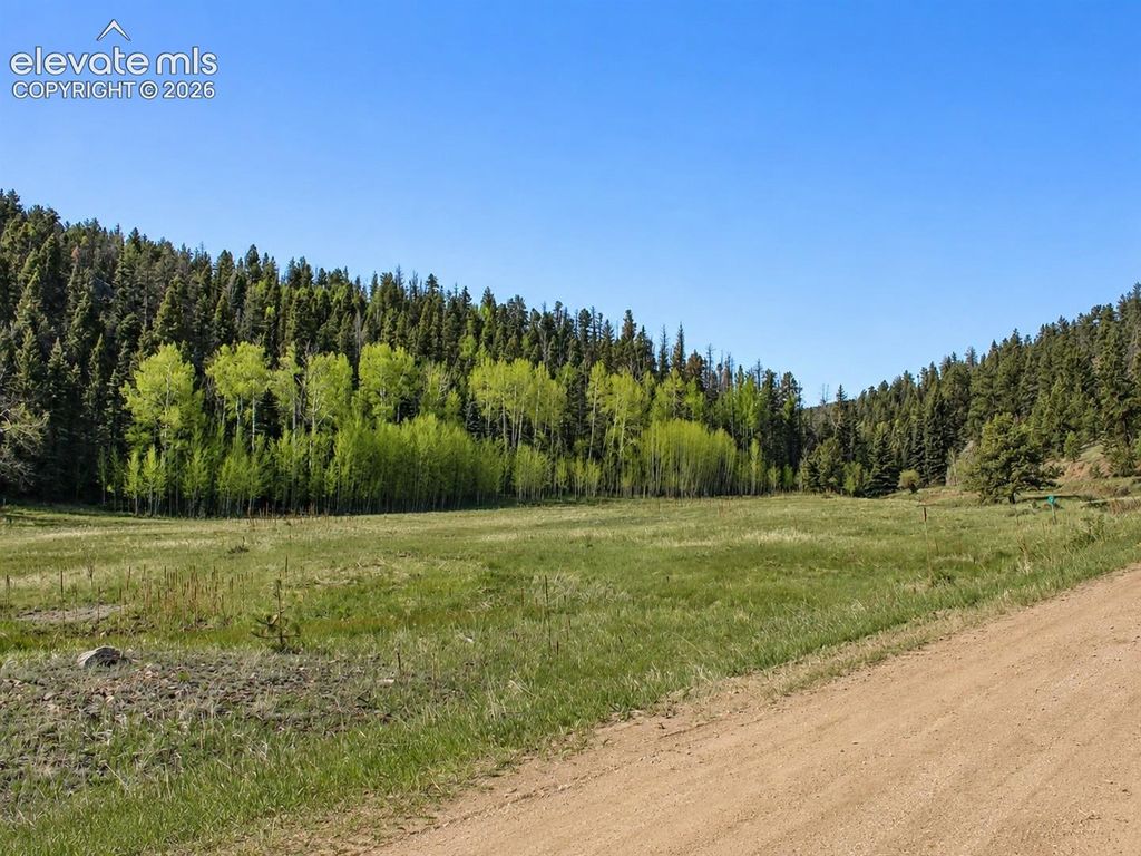 Lot 1 County Road 358, Westcliffe, CO 81252 — exterior