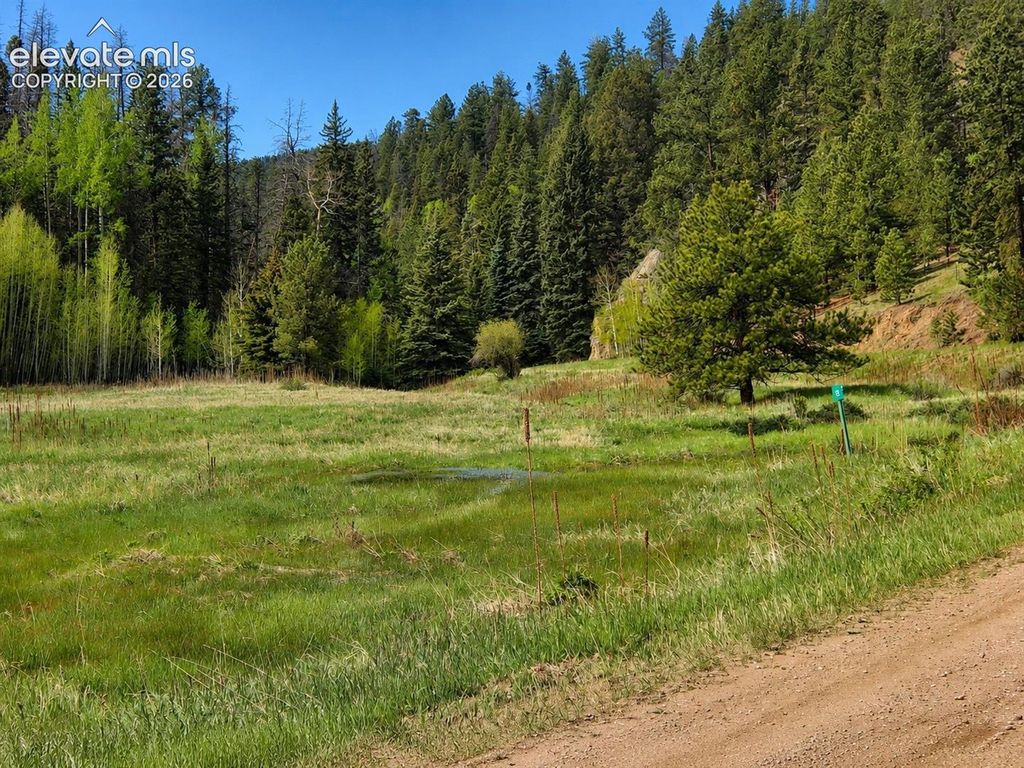 Lot 1 County Road 358, Westcliffe, CO 81252 — photo 2
