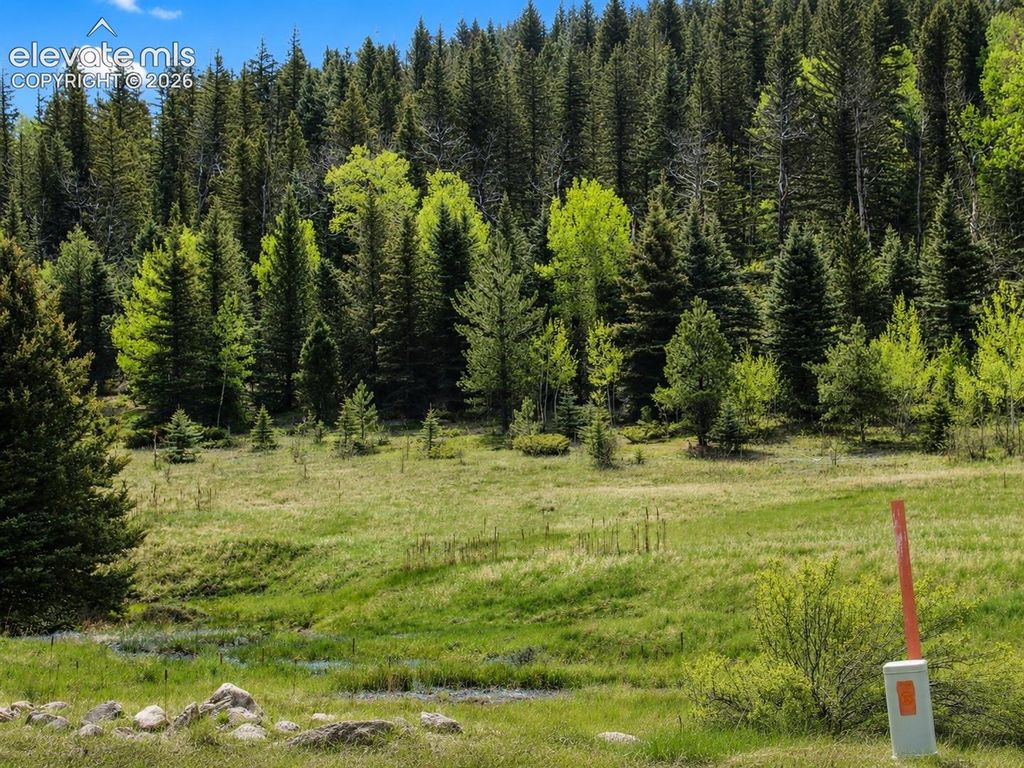 Lot 1 County Road 358, Westcliffe, CO 81252 — photo 3