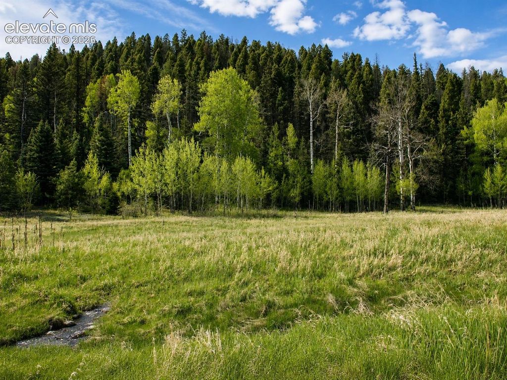 Lot 1 County Road 358, Westcliffe, CO 81252 — photo 4