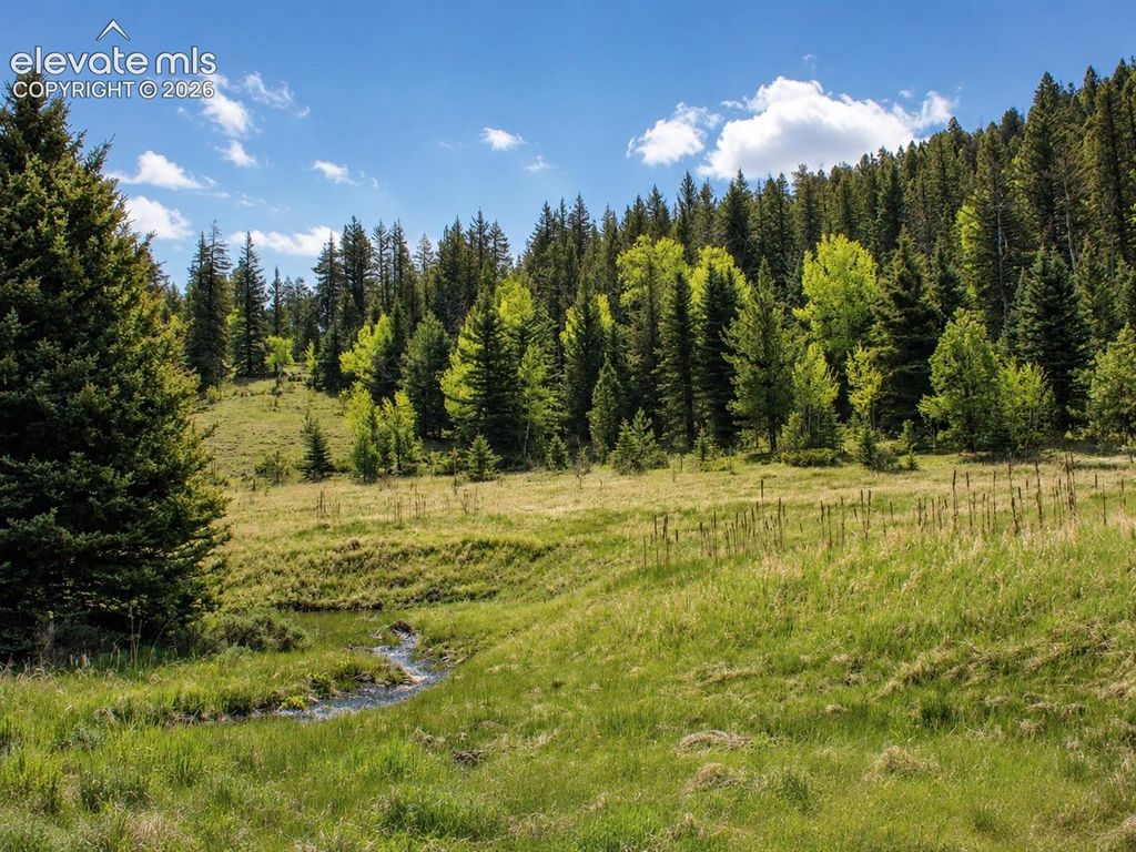 Lot 1 County Road 358, Westcliffe, CO 81252 — photo 5