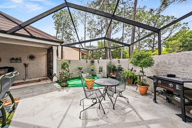 4805 UMBER COURT, Tampa, FL 33624