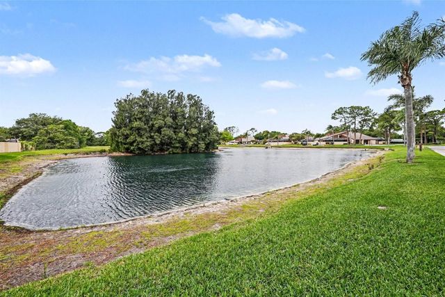 4805 UMBER COURT, Tampa, FL 33624