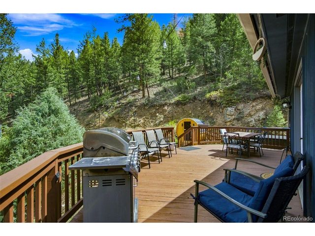 812 Soda Creek Rd, Idaho Springs, CO 80452
