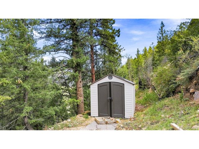812 Soda Creek Rd, Idaho Springs, CO 80452