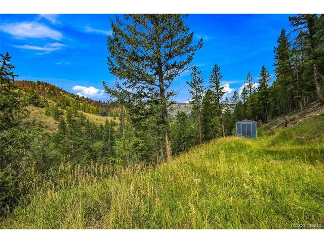 812 Soda Creek Rd, Idaho Springs, CO 80452