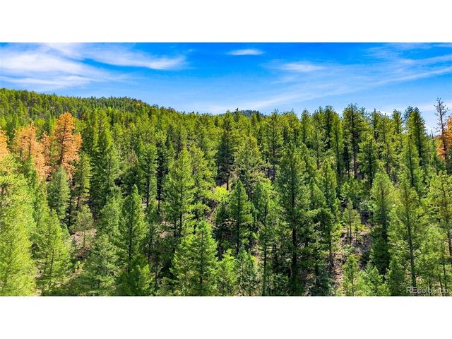 812 Soda Creek Rd, Idaho Springs, CO 80452