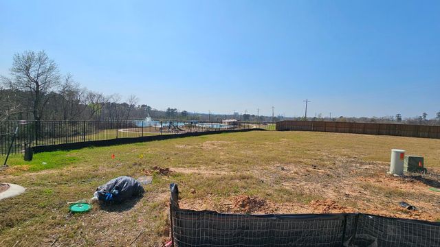 13903 Lion Rock Court, Willis, TX 77318