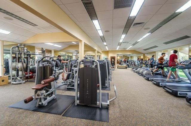 36750 US HIGHWAY 19 N 11206, Palm Harbor, FL 34684