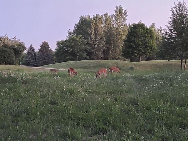 5975 Faith Boulevard, Bay City, MI 48706