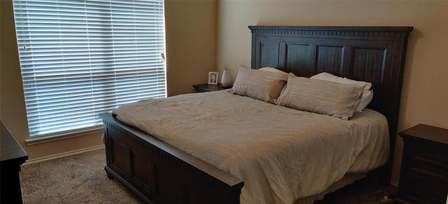 9821 Prairie dog Lane, Mckinney, TX 75071