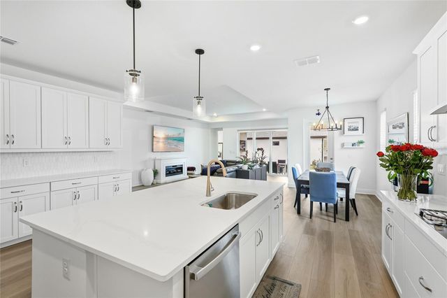 17143 SAVORY MIST CIRCLE, Lakewood Ranch, FL 34211