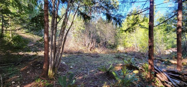 170 E Sprague, Union, WA 98592