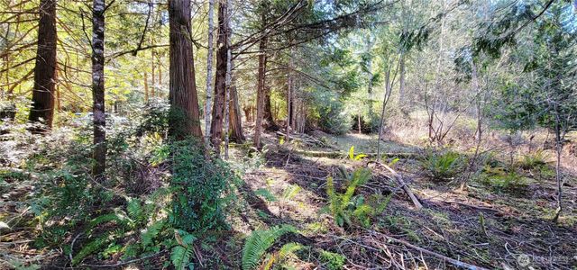 170 E Sprague, Union, WA 98592