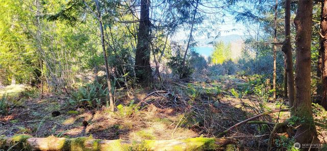 170 E Sprague, Union, WA 98592