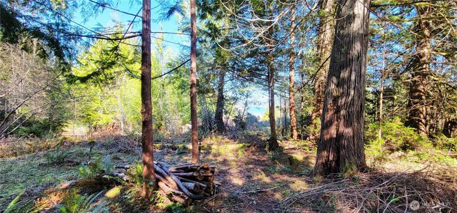 170 E Sprague, Union, WA 98592