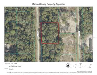 00000 NE 110TH COURT, Fort Mc Coy, FL 32134