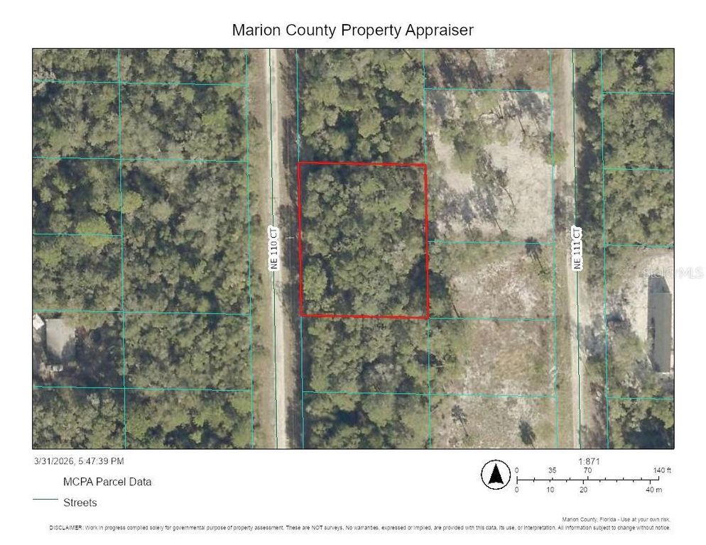 00000 NE 110TH COURT, Fort Mc Coy, FL 32134