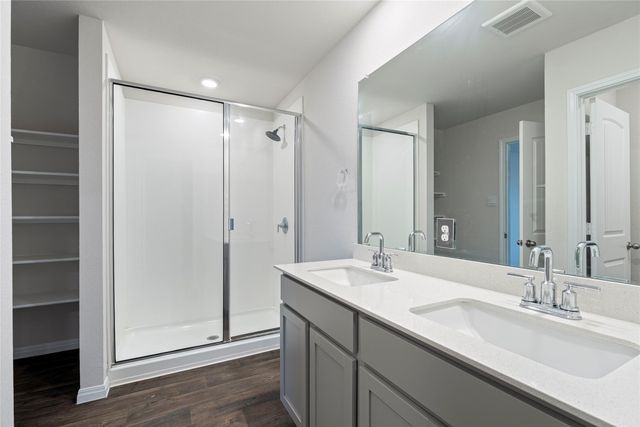 176 Texas Palmetto CIR, Kyle, TX 78640