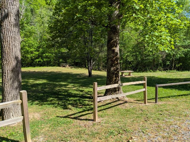 123 Hard Rector Lane, Spring City, TN 37381