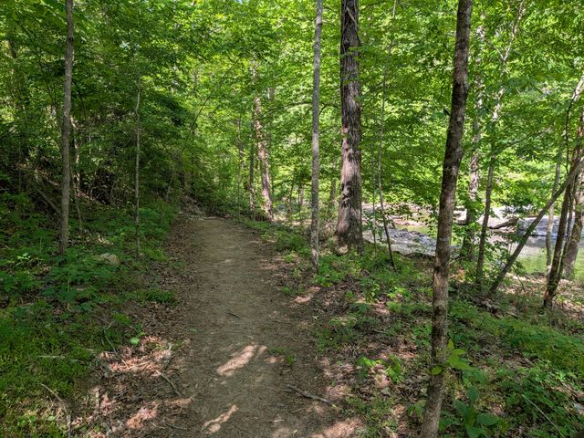 123 Hard Rector Lane, Spring City, TN 37381