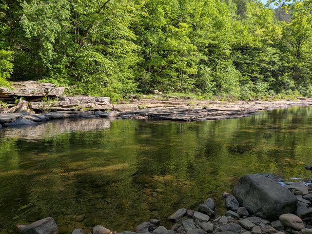 123 Hard Rector Lane, Spring City, TN 37381