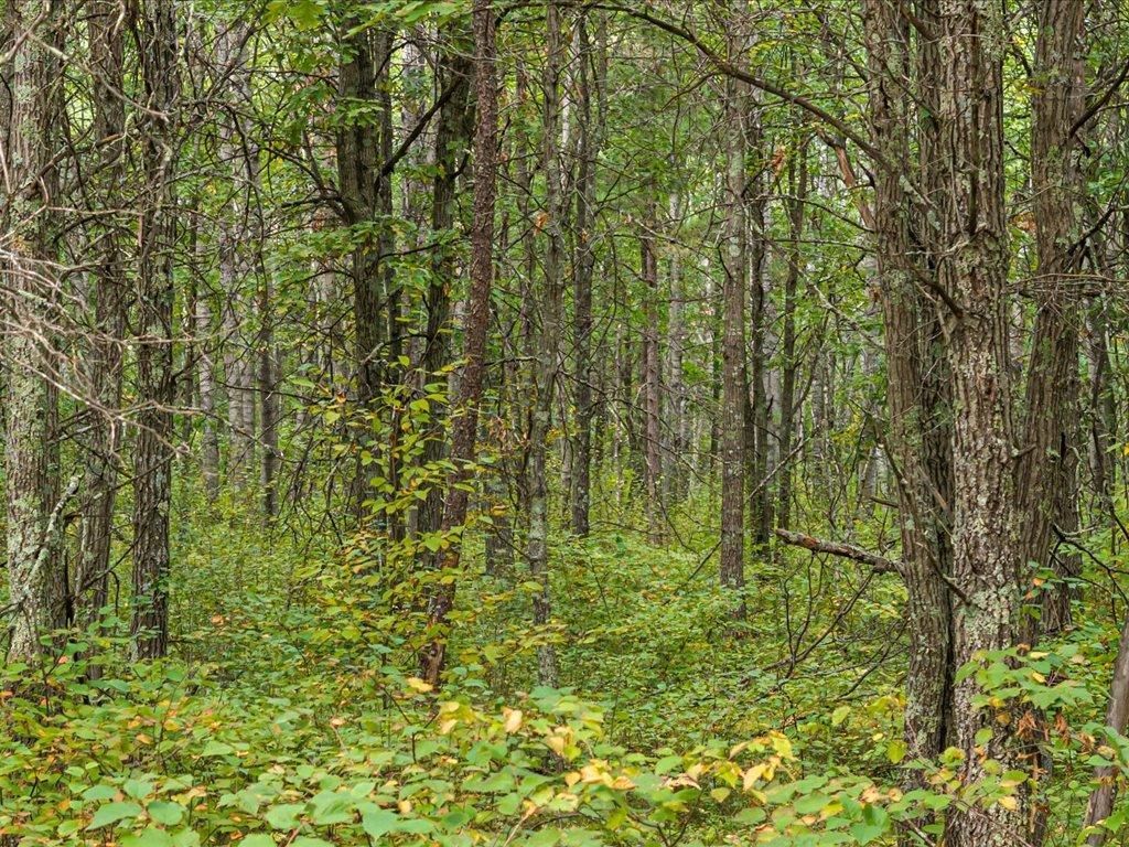 Lot J Sandbar Lane, Mission Twp, MN 56465