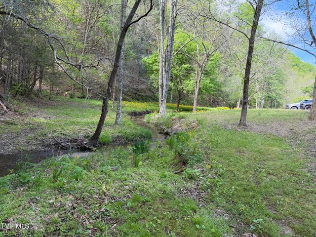 435 Cripple Creek Road, Watauga, TN 37694