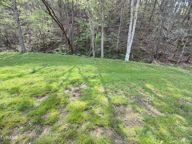 435 Cripple Creek Road, Watauga, TN 37694