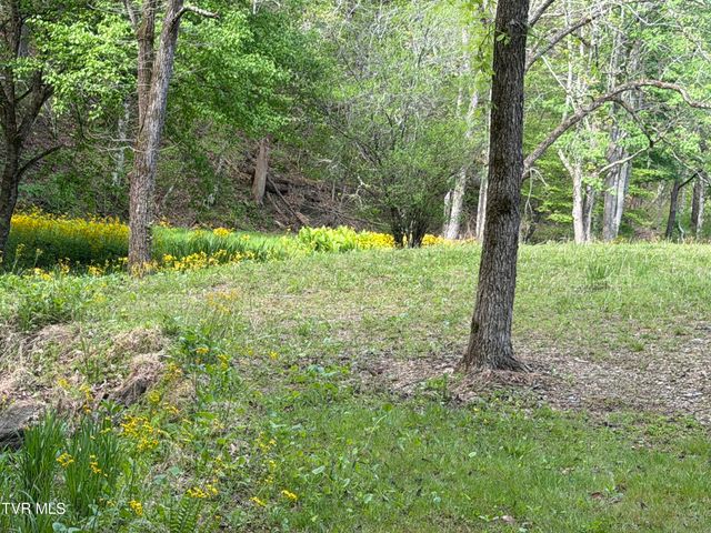 435 Cripple Creek Road, Watauga, TN 37694