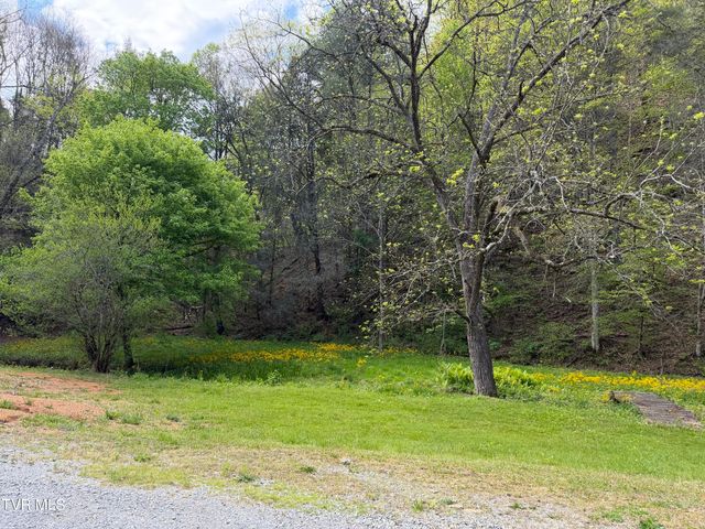 435 Cripple Creek Road, Watauga, TN 37694