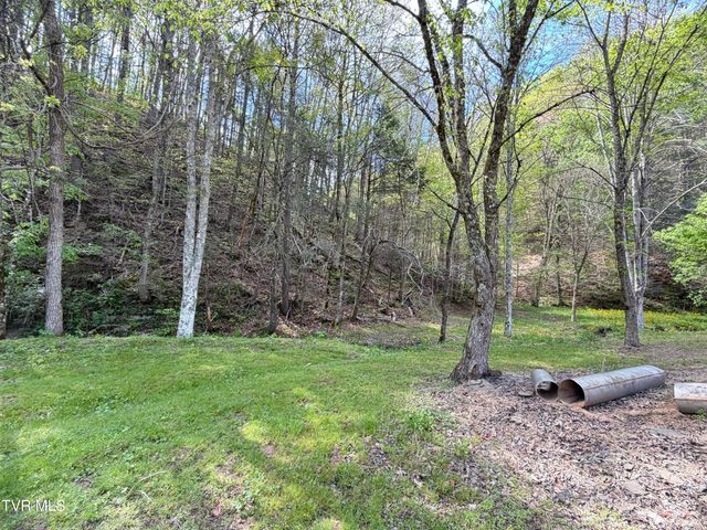 435 Cripple Creek Road, Watauga, TN 37694