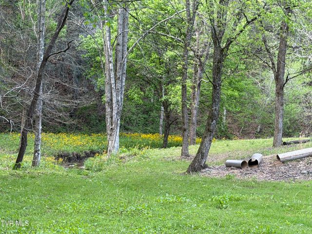 435 Cripple Creek Road, Watauga, TN 37694