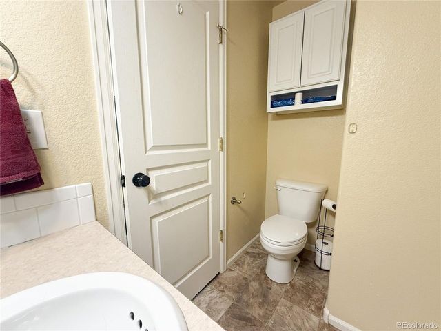 894 Durum St, Windsor, CO 80550