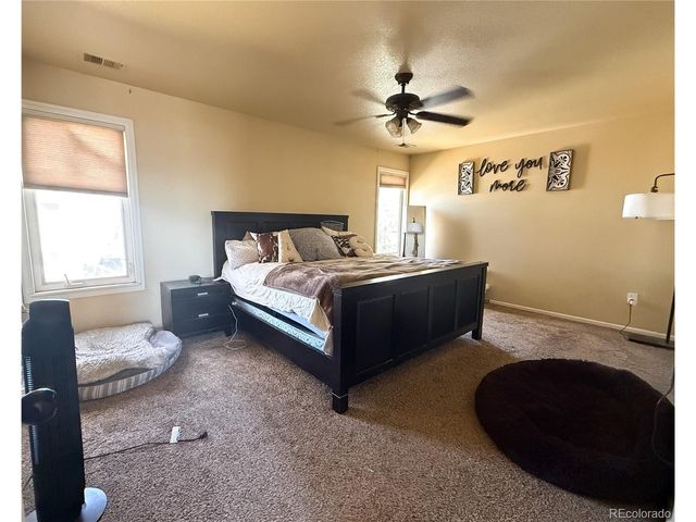 894 Durum St, Windsor, CO 80550