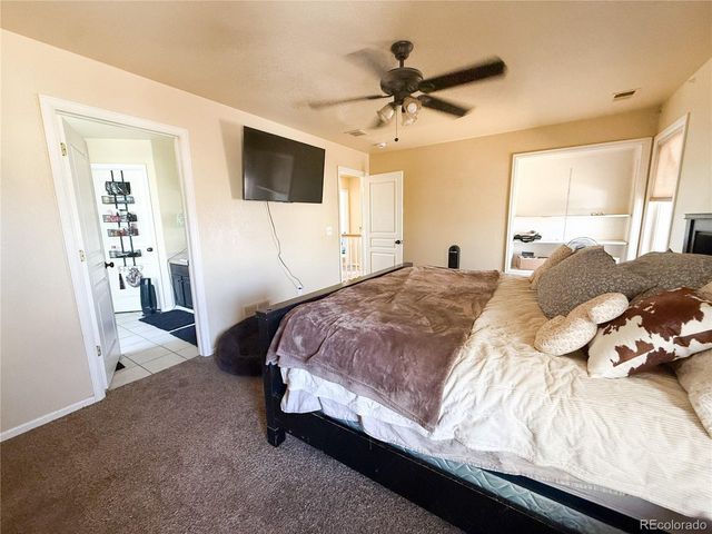 894 Durum St, Windsor, CO 80550