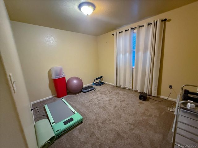 894 Durum St, Windsor, CO 80550