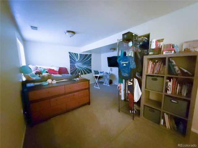 894 Durum St, Windsor, CO 80550