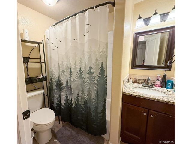 894 Durum St, Windsor, CO 80550