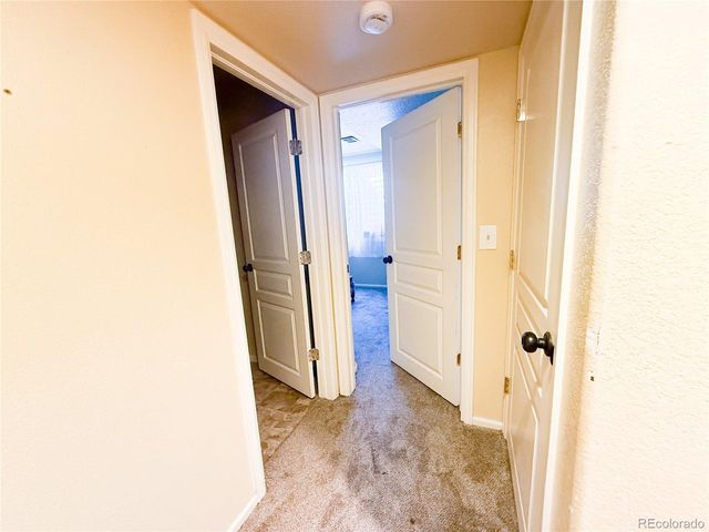 894 Durum St, Windsor, CO 80550