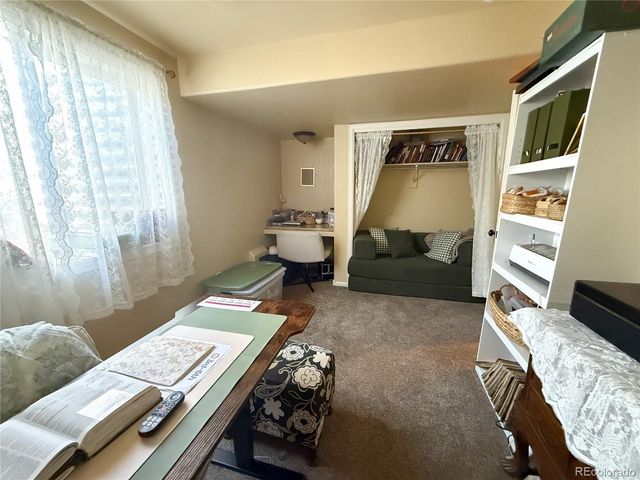 894 Durum St, Windsor, CO 80550